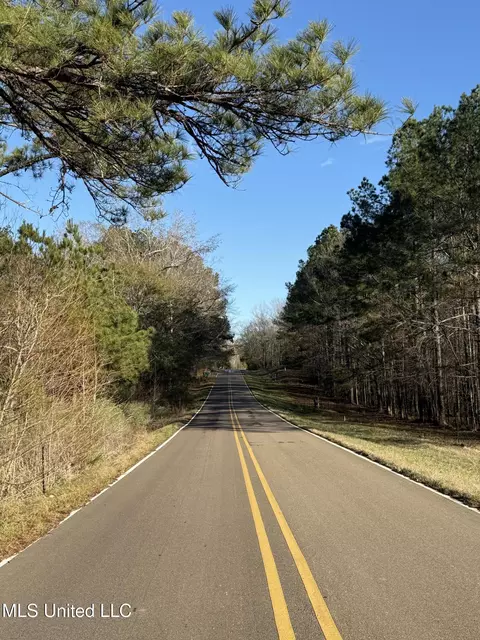S Mcraven Road, Jackson, MS 39209 photo 6