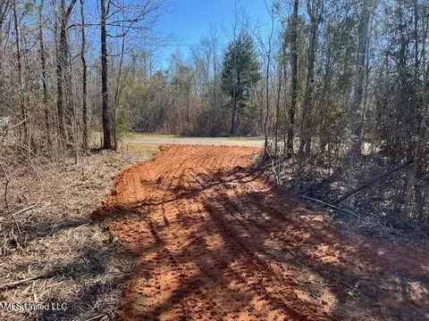 Matthews Road, Tylertown, MS 39667