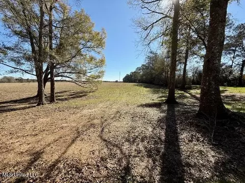 Silver Drive, Tylertown, MS 39667 photo 4