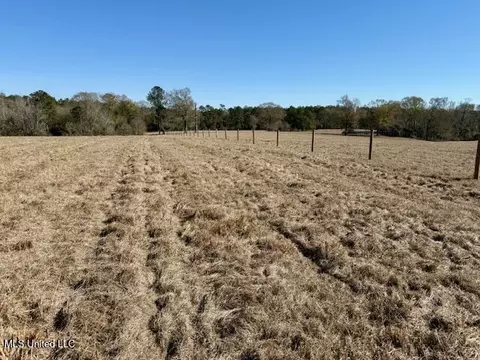Silver Drive, Tylertown, MS 39667 photo 26