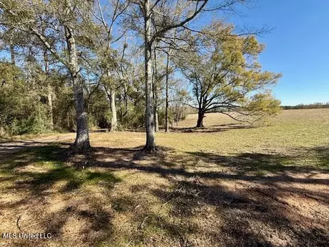 Silver Drive, Tylertown, MS 39667 photo 3