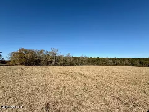 Silver Drive, Tylertown, MS 39667 photo 15
