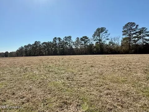 Silver Drive, Tylertown, MS 39667 photo 12