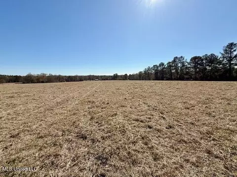 Silver Drive, Tylertown, MS 39667 photo 17