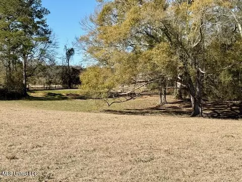 Silver Drive, Tylertown, MS 39667 photo 14