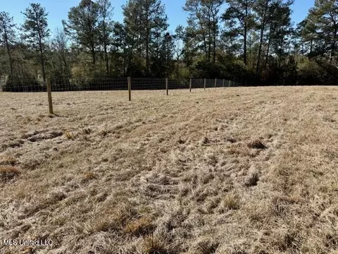 Silver Drive, Tylertown, MS 39667 photo 24