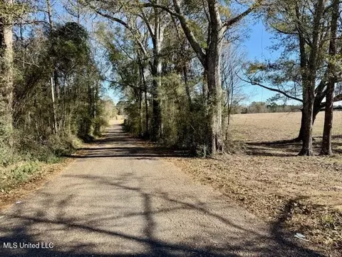 Silver Drive, Tylertown, MS 39667 photo 6