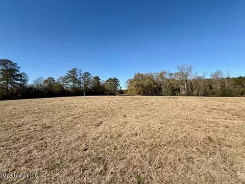 Silver Drive, Tylertown, MS 39667 photo 16