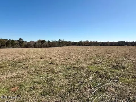 Silver Drive, Tylertown, MS 39667 photo 11