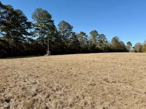 Silver Drive, Tylertown, MS 39667 photo 23