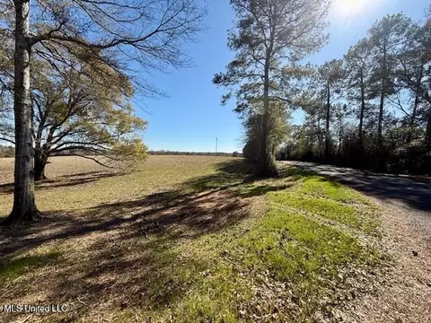 Silver Drive, Tylertown, MS 39667