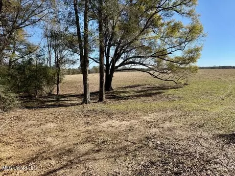 Silver Drive, Tylertown, MS 39667 photo 5
