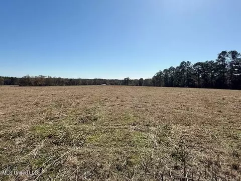 Silver Drive, Tylertown, MS 39667 photo 10