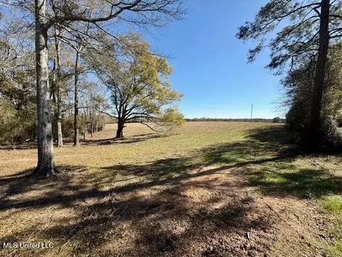 Silver Drive, Tylertown, MS 39667 photo 2