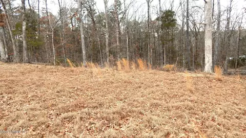 70 Woody Cir, Gore Springs, MS 38929