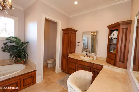 Bath - 4864 Malone Rd, Olive Branch, MS 38654 photo 5 of 11