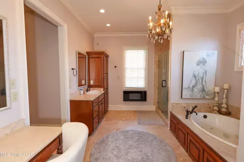Bath - 4864 Malone Rd, Olive Branch, MS 38654 photo 7 of 11