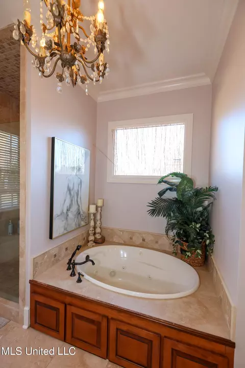 Bath - 4864 Malone Rd, Olive Branch, MS 38654 photo 9 of 11