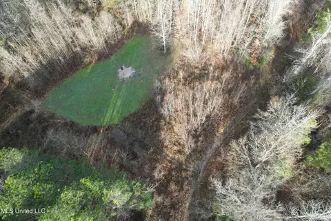 Robinson Road, Canton, MS 39046 photo 7