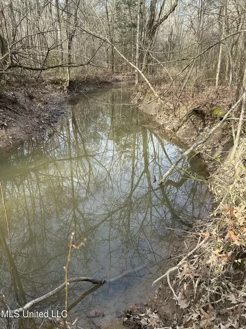 Robinson Road, Canton, MS 39046 photo 11