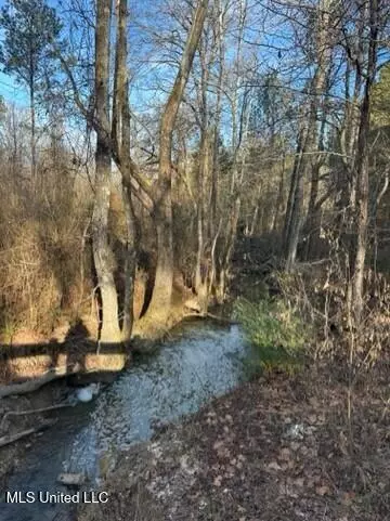 Robinson Road, Canton, MS 39046 photo 12