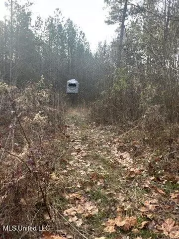 Robinson Road, Canton, MS 39046 photo 4