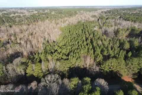 Robinson Road, Canton, MS 39046 photo 2
