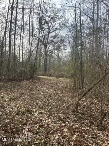 Robinson Road, Canton, MS 39046 photo 9