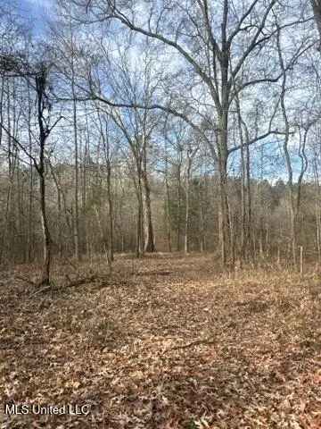 Robinson Road, Canton, MS 39046 photo 10