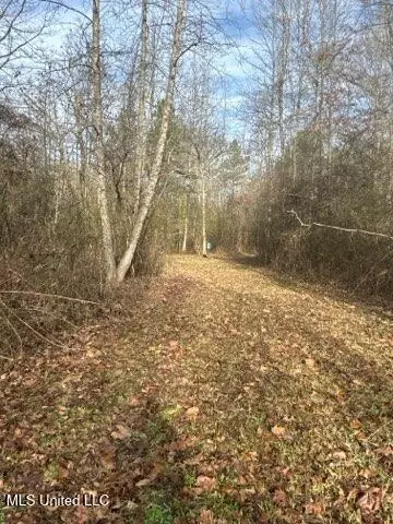 Robinson Road, Canton, MS 39046 photo 8