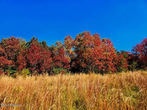 J.l. Robbins Road, Carson, MS 39427 photo 1