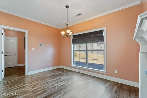 14 Doe Creek Trail Trl, Hernando, MS 38632 photo 8