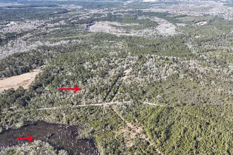 Kit Maples Road, Perkinston, MS 39573 photo 4