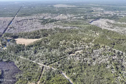 Kit Maples Road, Perkinston, MS 39573 photo 19