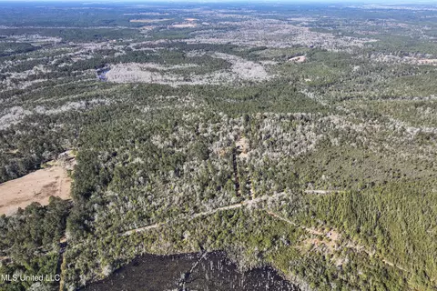 Kit Maples Road, Perkinston, MS 39573 photo 20