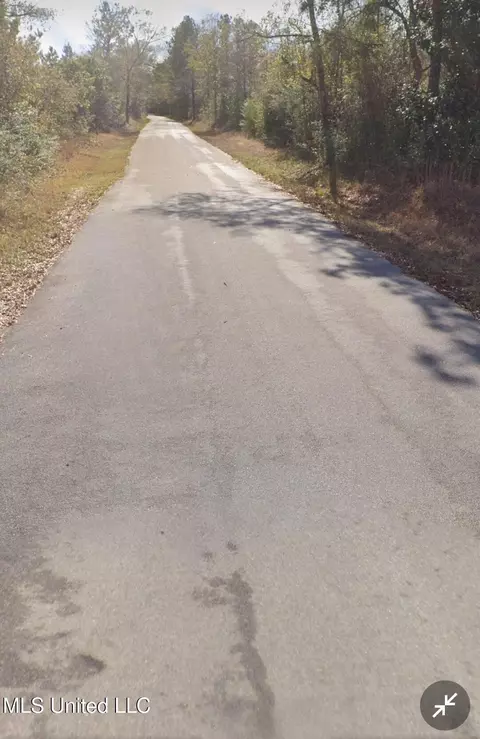 Kit Maples Road, Perkinston, MS 39573 photo 8