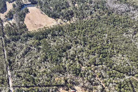 Kit Maples Road, Perkinston, MS 39573 photo 16