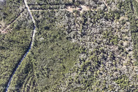Kit Maples Road, Perkinston, MS 39573 photo 18