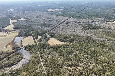 Kit Maples Road, Perkinston, MS 39573 photo 15