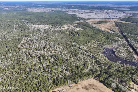 Kit Maples Road, Perkinston, MS 39573 photo 10