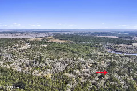 Kit Maples Road, Perkinston, MS 39573 photo 7