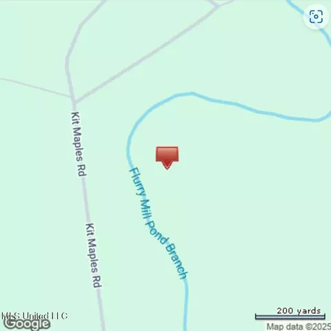 Kit Maples Road, Perkinston, MS 39573 photo 23