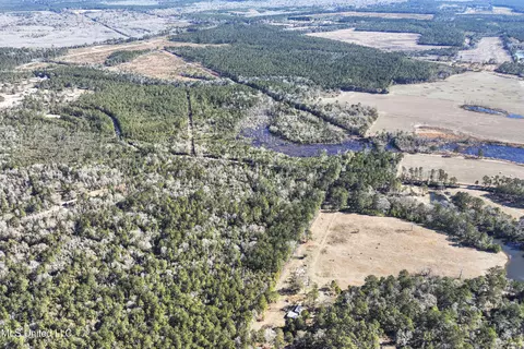 Kit Maples Road, Perkinston, MS 39573 photo 12