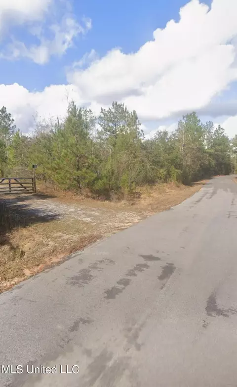 Kit Maples Road, Perkinston, MS 39573 photo 6