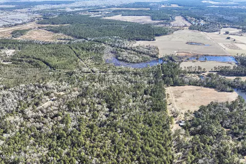 Kit Maples Road, Perkinston, MS 39573 photo 13