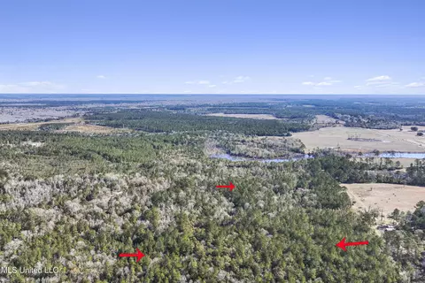 Kit Maples Road, Perkinston, MS 39573 photo 21