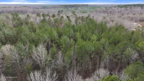 Stump Bridge Road, Camden, MS 39045 photo 6