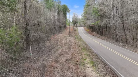 Stump Bridge Road, Camden, MS 39045 photo 7