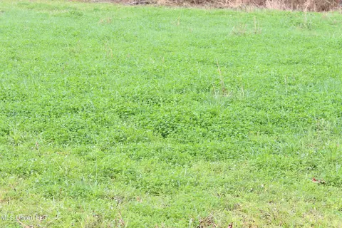 Old Stateline Rd, Tylertown, MS 39667 photo 35