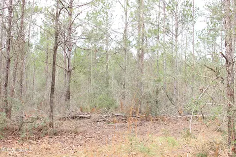 Old Stateline Rd, Tylertown, MS 39667 photo 8